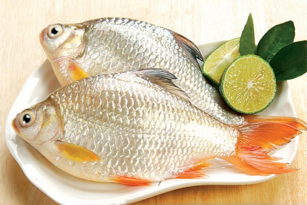 Ăn cá chữa xuất tinh sớm hiệu quả
